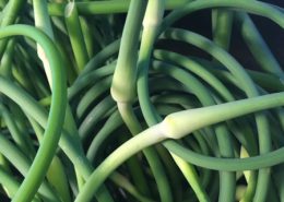 garlic scapes